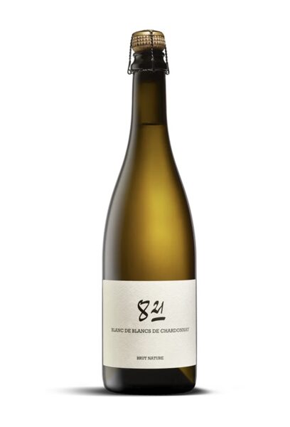 2020 Le Domaine d'Henri Pétillant Naturel Blanc de Blancs Brut Nature